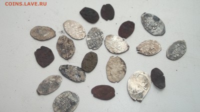 Медная и серебряная чешуйка - DSCF3630.JPG