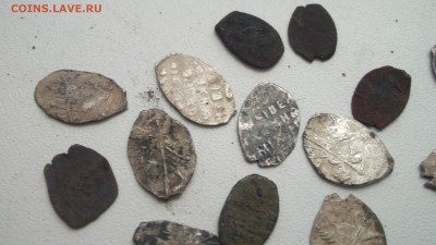 Медная и серебряная чешуйка - DSCF3632.JPG