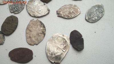 Медная и серебряная чешуйка - DSCF3634.JPG