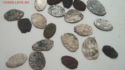 Медная и серебряная чешуйка - DSCF3637.JPG