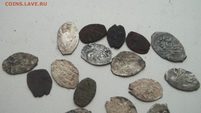 Медная и серебряная чешуйка - DSCF3638.JPG