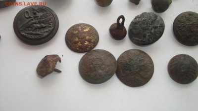 Немного копанины) - DSCF3624.JPG