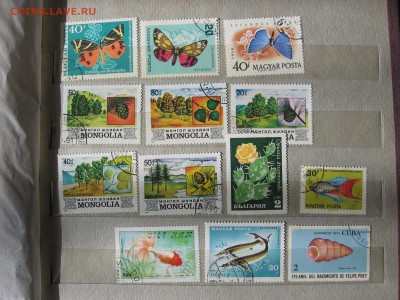 Микс марок 373 шт - IMG_4755.JPG