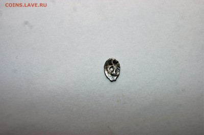 чешуя - DSC05812.JPG