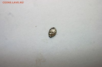 чешуя - DSC05813.JPG