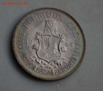 1 Крона 1964 Бермуды серебро - DSCF2316.JPG