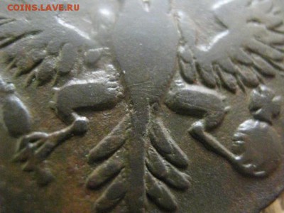 Деньга 1731г. Редкий штемпель. До 11.08.2016г. - 8 авг 013.JPG