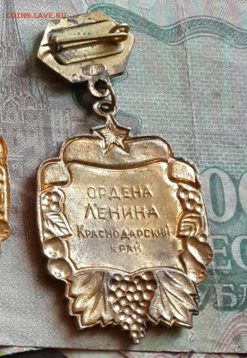 Лучший садовод и виноградарь. 3 шт. До 9.08.2016 в 22.00 - 20160805_161449-2