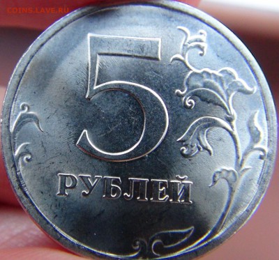 Вопросы по разновидностям от LEO83 - DSC09542.JPG