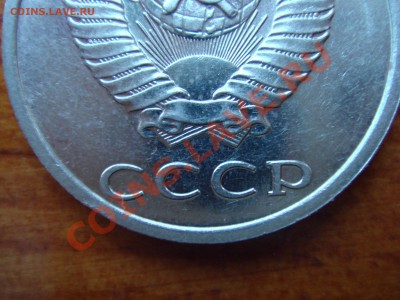 б - DSC03462.JPG