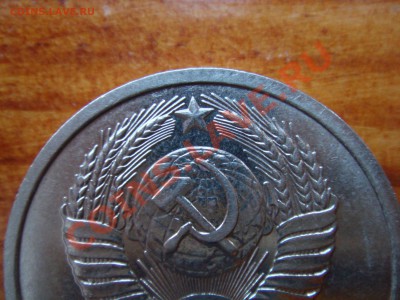 б - DSC03463.JPG
