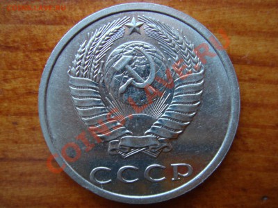 б - DSC03461.JPG