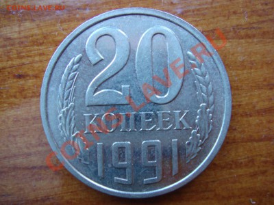 б - DSC03456.JPG
