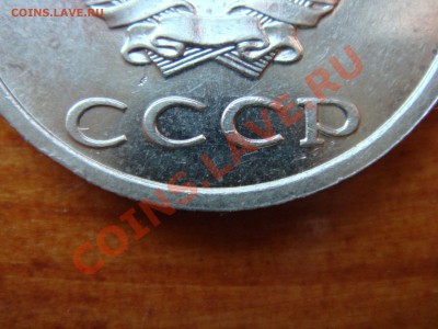 б - DSC03468.JPG