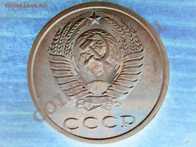 б - DSC03461.JPG