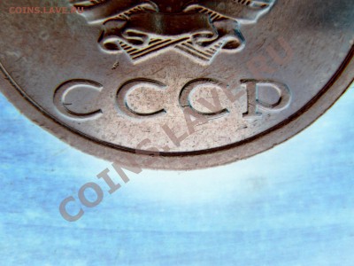 б - DSC03468.JPG