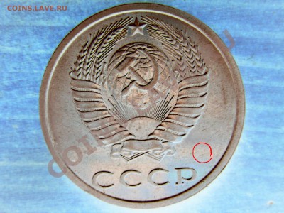 б - DSC03461.JPG