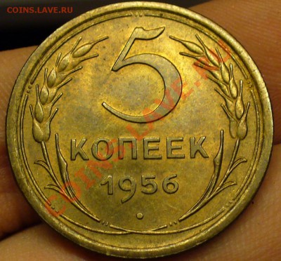 5 копеек 1956 года Отличная! До 02.12.10 в 22.00 по мск - 5 копеек 1956 года.JPG
