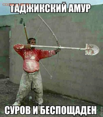 веселые картинки - cutting-241336