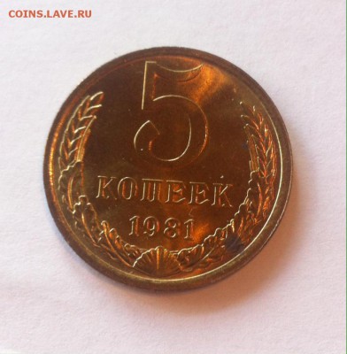 5 копеек 1981г. UNC. до 13.08.16г. - 581.JPG