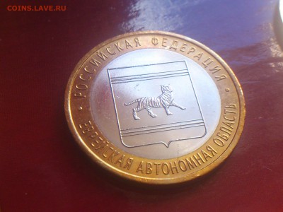  aUnc и др - 2009-ЕАО С 1.JPG