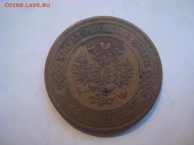 Домашняя медь Н II на кастинг перед продажей. - DSC00721.JPG