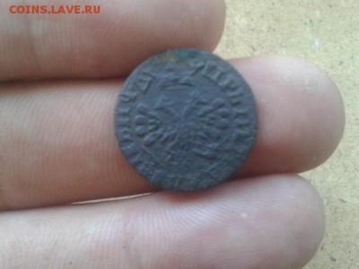 полушка 1707г Хорошая до 09.08.2016г до 22-00 - 20160807_130519