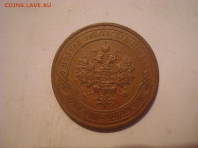 Домашняя медь Н II на кастинг перед продажей. - DSC00741.JPG
