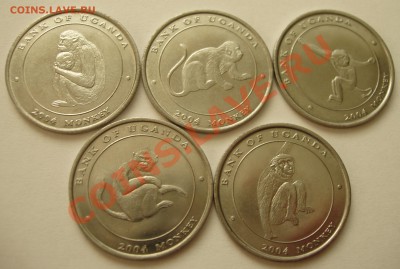 Уганда 2004 фауна до 3.12.2010 - PB290520.JPG