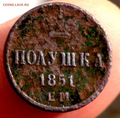 полушка 1851 год ЕМ оценка - P8080131.JPG