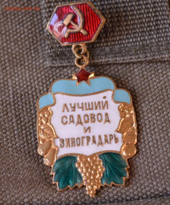 Знаки,свекловод,виноградарь,животновод . - DSC_8317.JPG