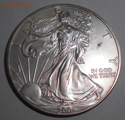 Сша 1 доллар Унция Либерти 2006г.до 11.08.2016 22-00 мск - liberty 2006 r.JPG