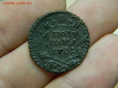 полушка 1731 перечекан - DSCN8898.JPG