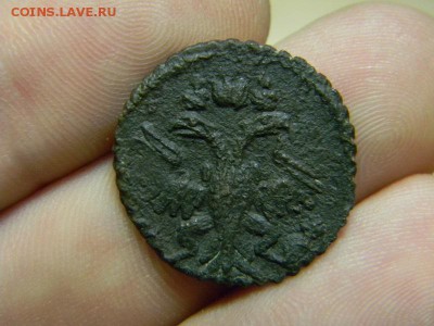 полушка 1731 перечекан - DSCN8900.JPG