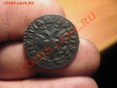 денга петра 1712 до 3.12.2010 до 21-00 по москве - IMG_6627.JPG