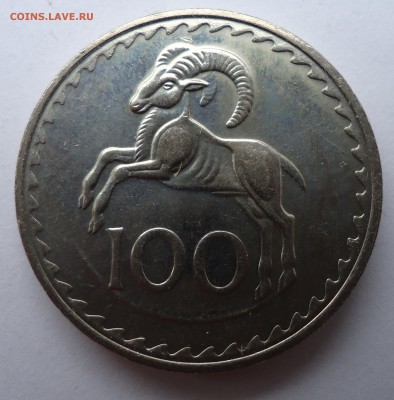 Кипр 100 мил 1982 Муфлон 1989 ДО 14.08.16 в 22.00 МСК. - DSC02632.JPG