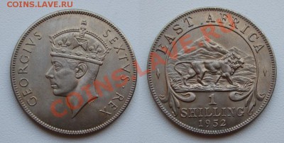 1 шиллинг 1952 В. Африка UNC_____до 01.12___22.00мск - 1 шиллинг 1952 Восточная Африка.JPG