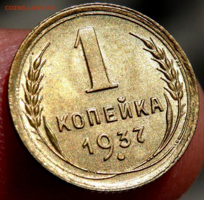 1 копейка 1937 красавица оценка - P8100158.JPG