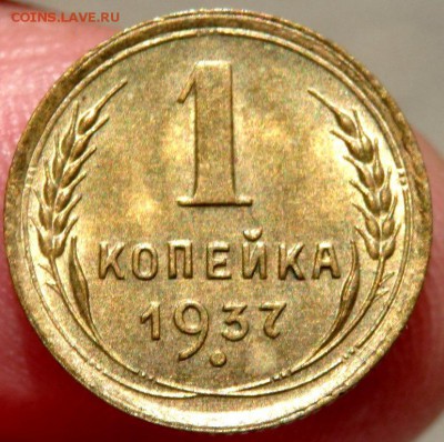 1 копейка 1937 красавица оценка - P8100157.JPG