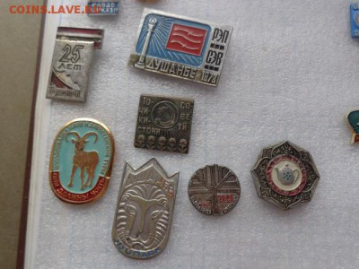 Солянка  34  шт  до   15.8 в 21-00 мск - DSC02075.JPG