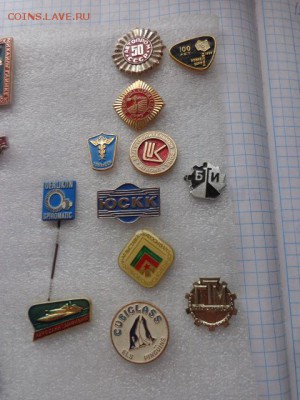 Солянка  34  шт  до   15.8 в 21-00 мск - DSC02076.JPG