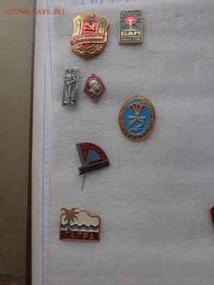 Солянка  34  шт  до   15.8 в 21-00 мск - DSC02077.JPG