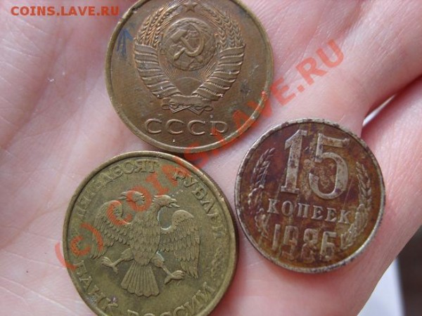 1-0-3 - S8302864уменьшена.JPG