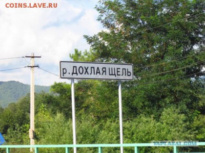 веселые картинки - 6374928