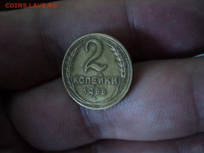 2 копейки 1955 года    ок. 15.08.16   23-00 мск - DSC02016[1].JPG