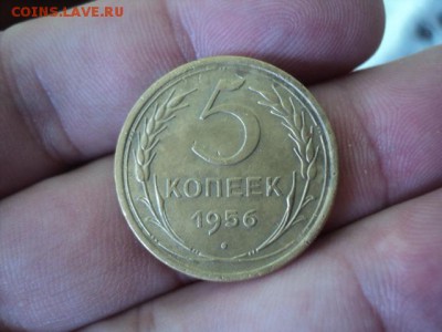 5 копеек 1956 хорошие    ок.15.08.16   23-00 мск - DSC02030[1].JPG