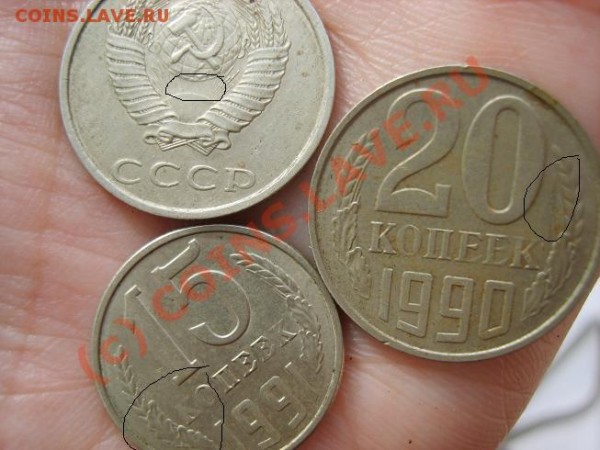 1-0-8 - S8302859уменьшена.JPG