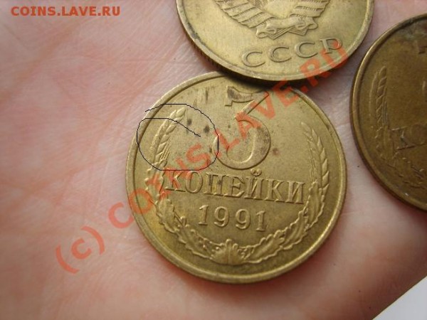 1-0-6 - S8302861уменьшена.JPG