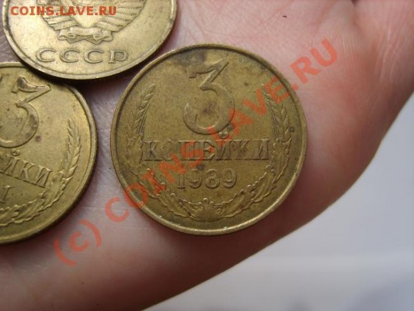 1-0-5 - S8302862уменьшена.JPG
