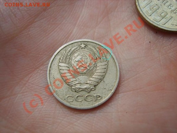 57 - S8302857уменьшена.JPG